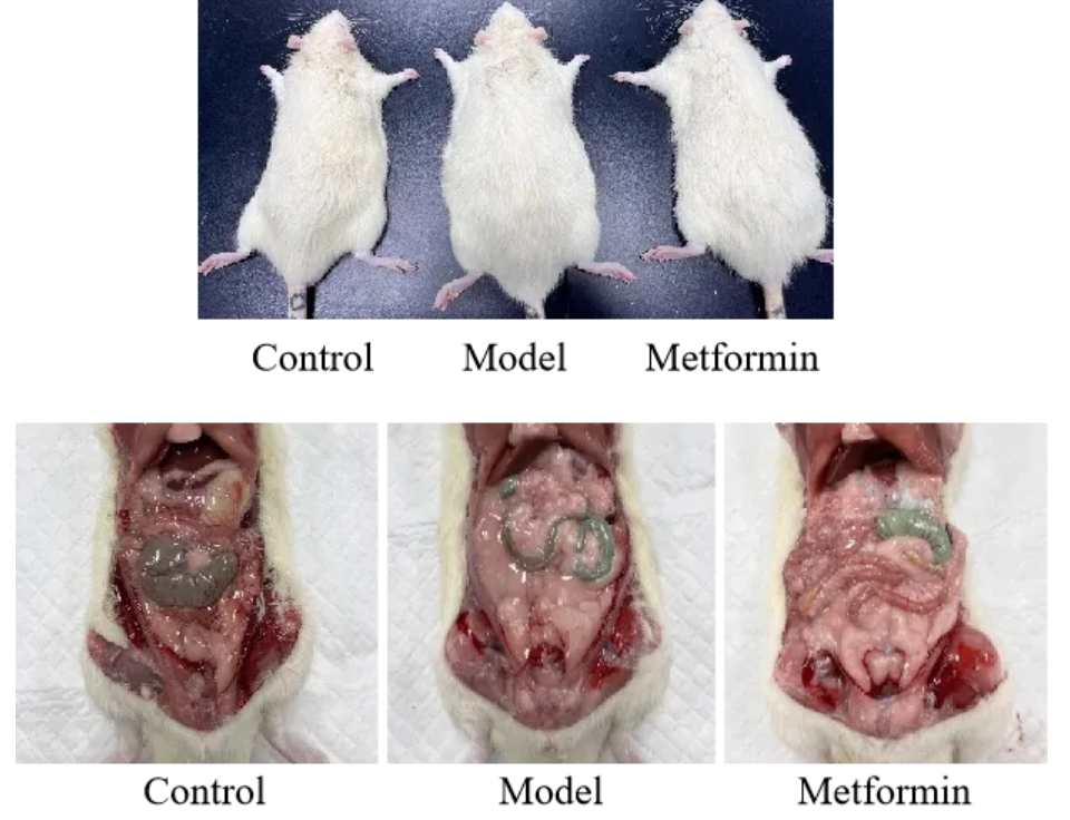 1723534910132710.png image.png