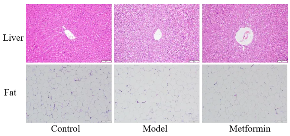 1723534953510442.png image.png