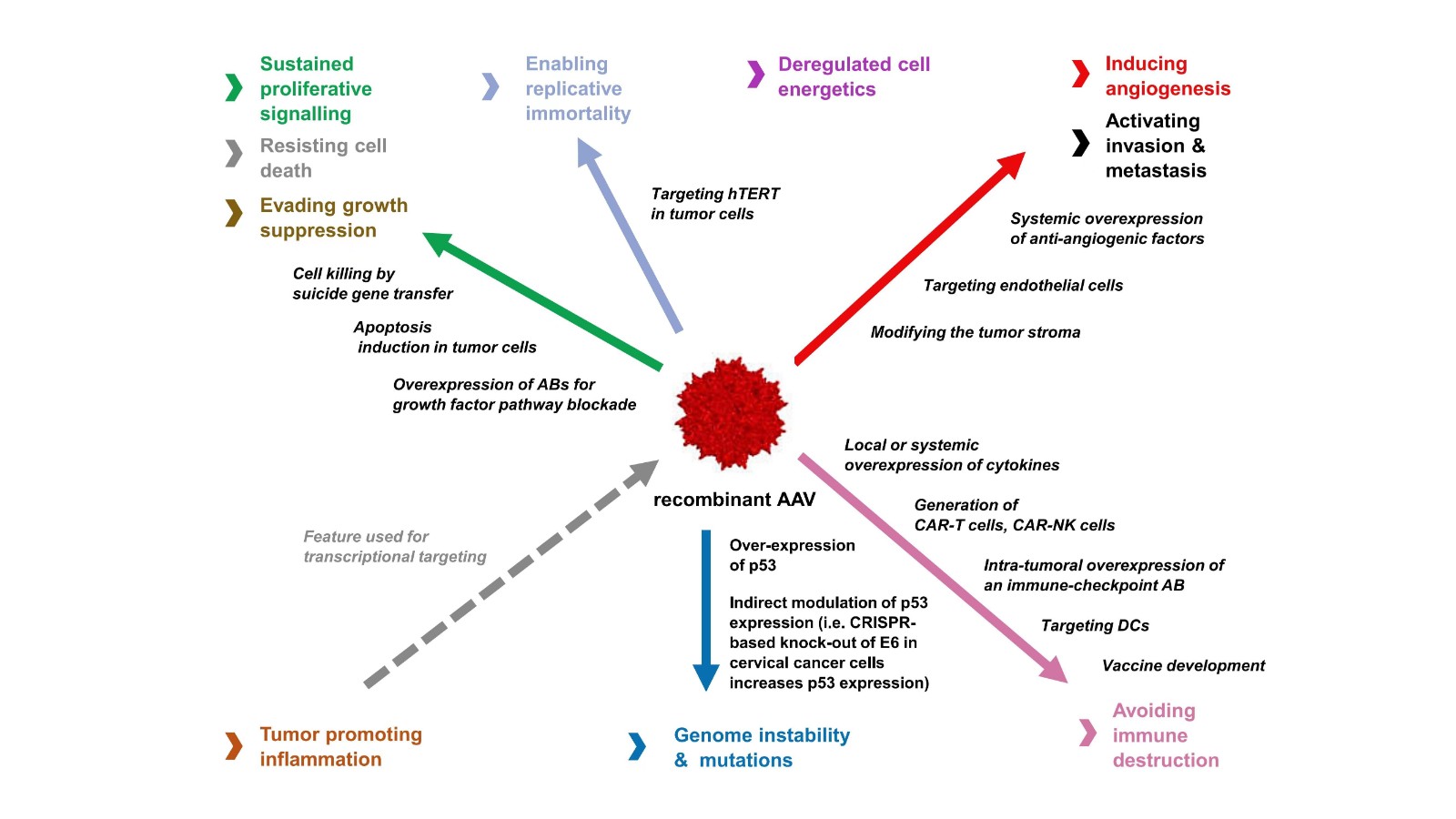 1663926967685754.jpg 7245a09f192ffa6fd0b5b9f1366df33.jpg