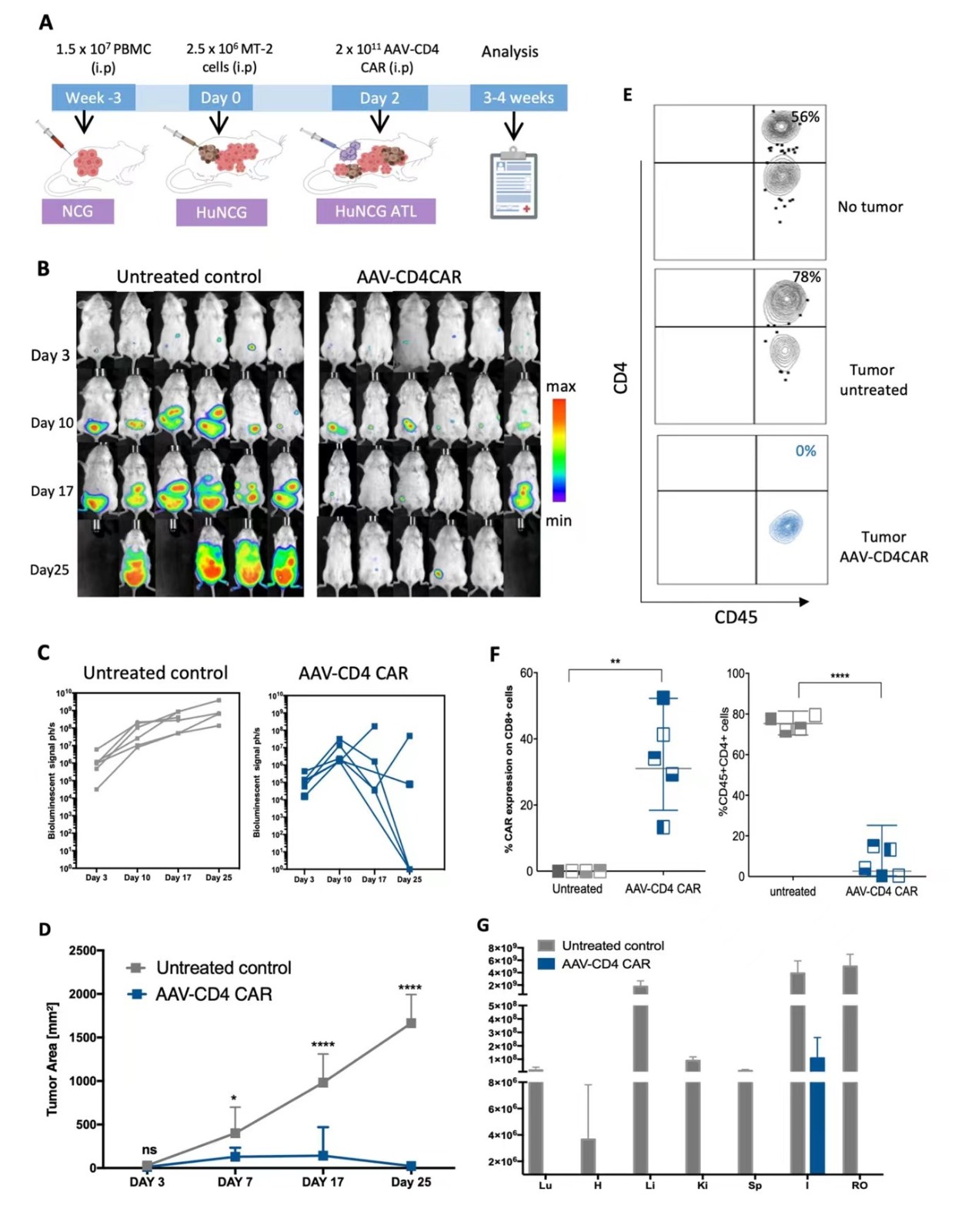 1663926987984567.jpg 43612cb10ba659490b38f009f2dd6c5.jpg