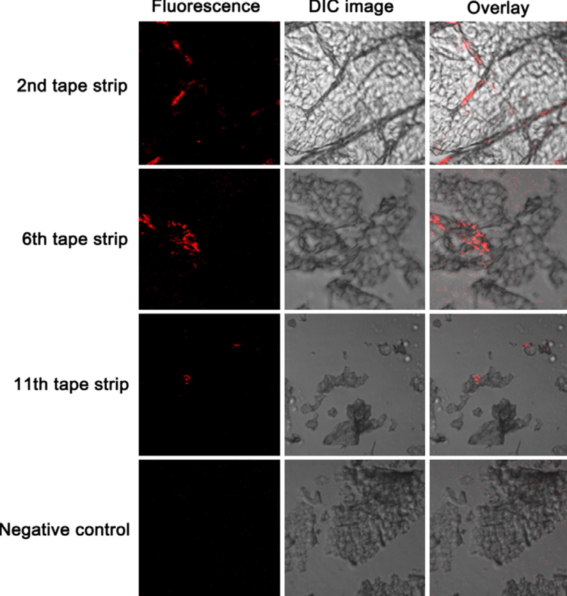 1701133631137650.png 640 (1).png