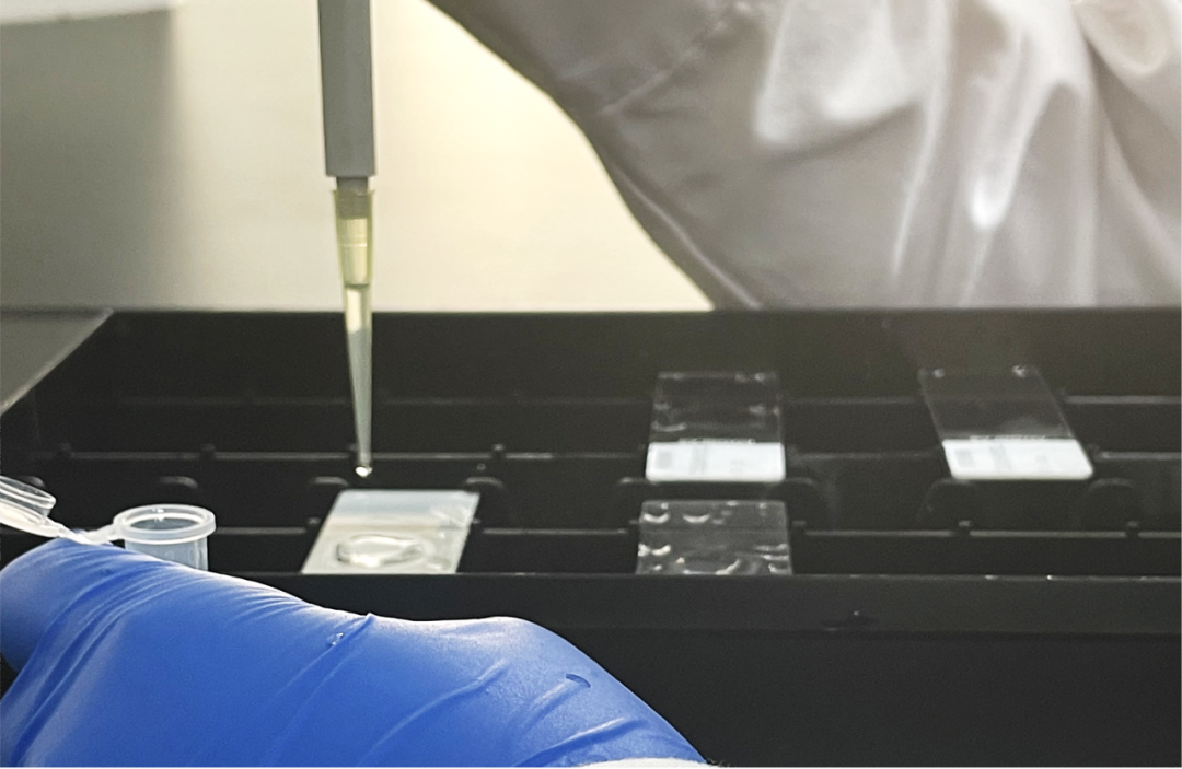 1701134670430102.png 640 (2).png