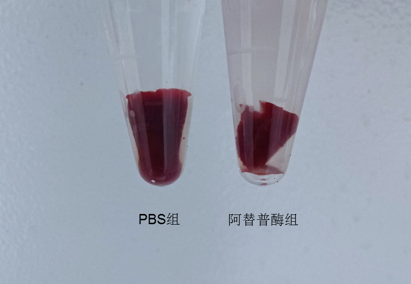 1701135036720352.png 640 (8).png