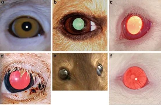 1716972149662388.png 3.png