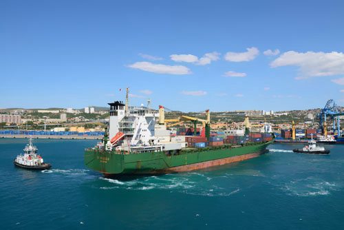 2019ȫú̿ó׹ģ΢0.7%